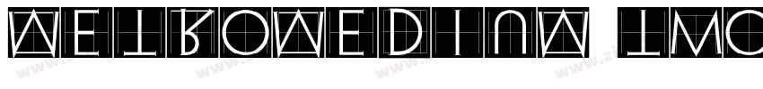 metromedium two字体转换